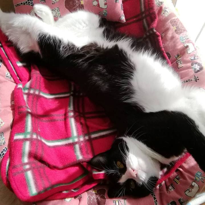 48109f4a a338 4d8e b036 b003c41371aa 1572941801536