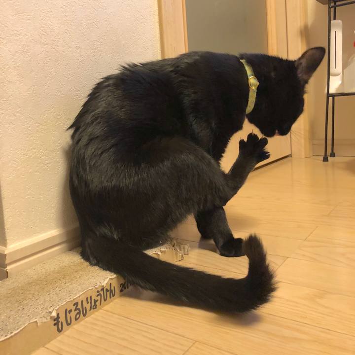 4810ae92 8b47 4f6f 97b3 77d0359f045d 1557407563963