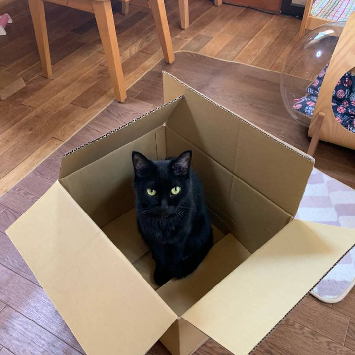 4810f730 40e0 4fab 91d2 40f7bed55da8 1624244841372