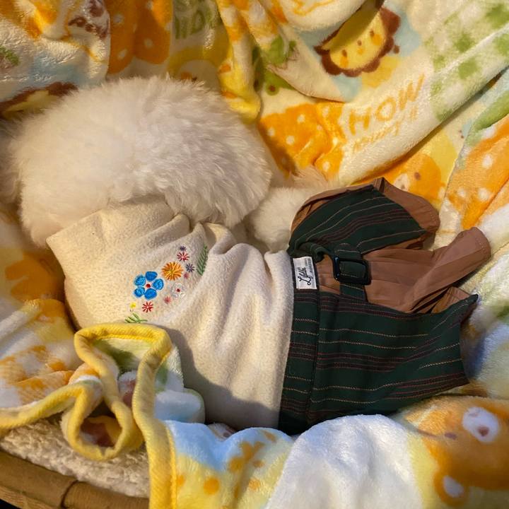 48111a19 de22 41e1 8b48 8387686211c0 1673681591264