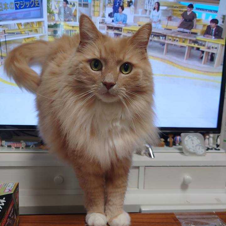 481180b2 55c4 418e 9e6d daae6917c1e0 1654996507967