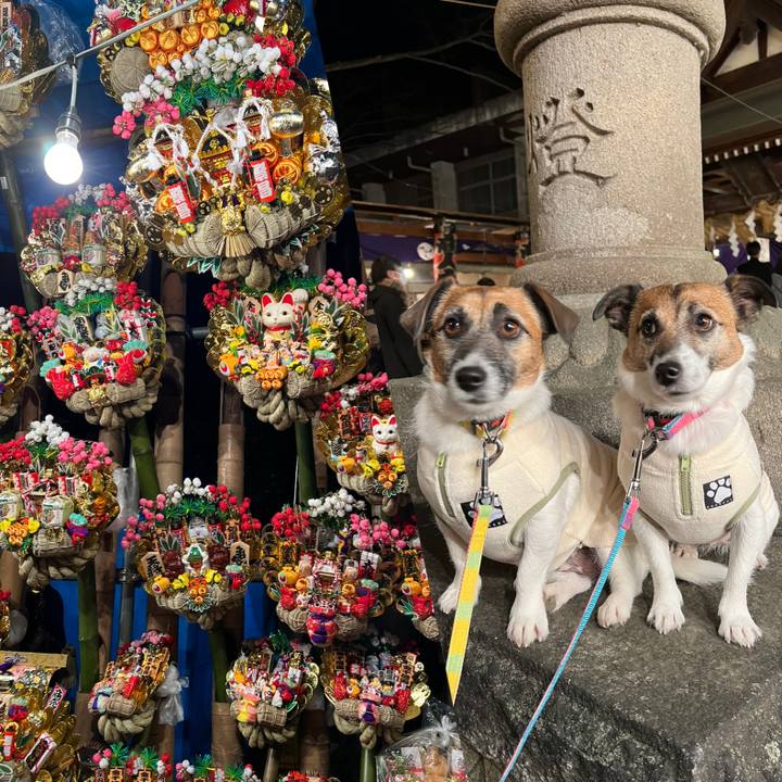 4811852b d8d5 4839 b099 3ab778dc0554 1670503107251