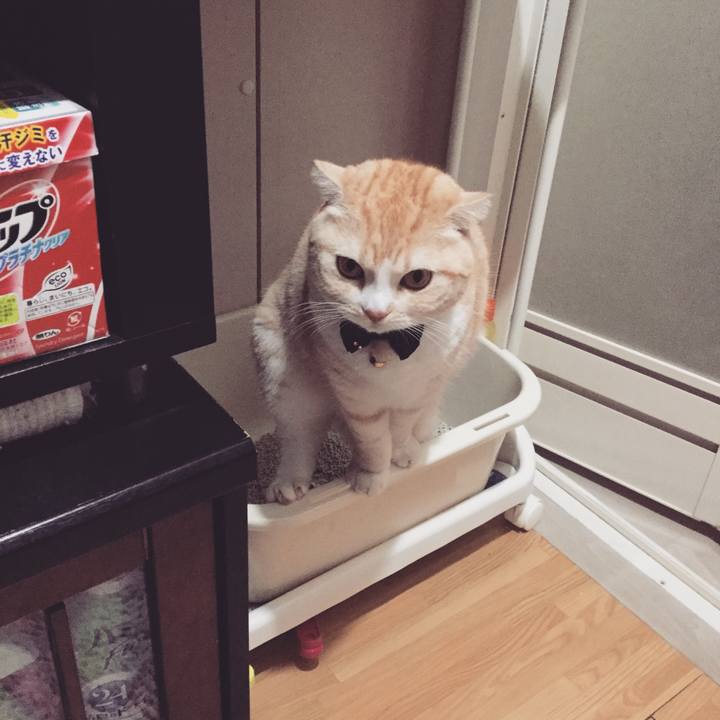 4811aeab 462d 489f a212 bc6fc54f4430 1511595076565