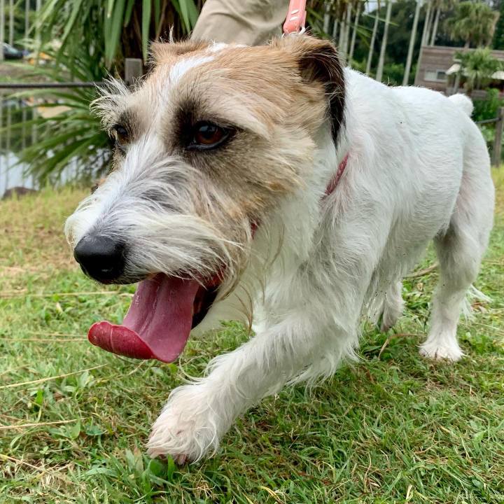 4811b9ae 4b4a 46ad be94 2e44eb473fc1 1661051641266