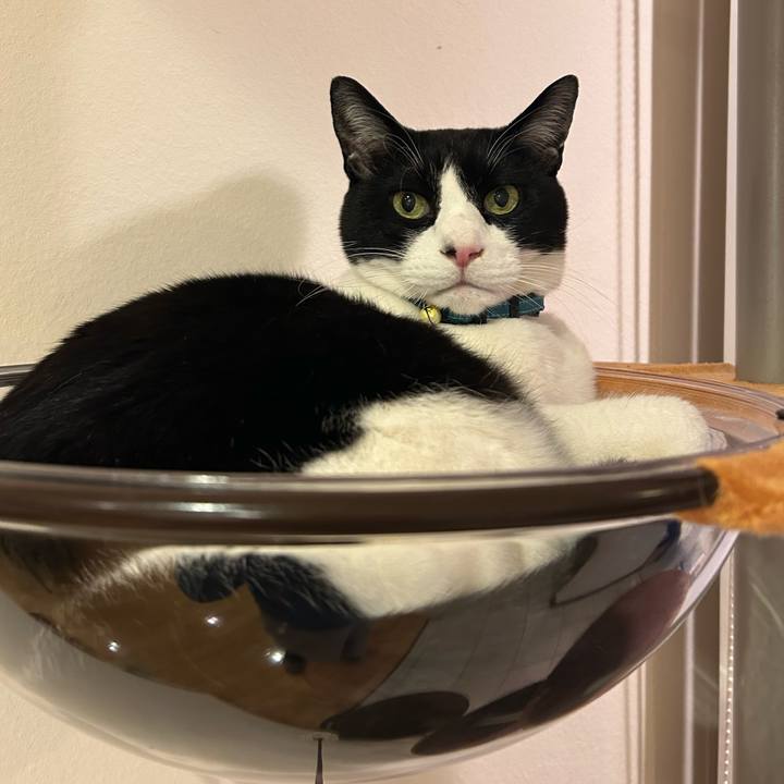 4811cd2e dbe6 42a5 a61a a746f7979910 1771120946548