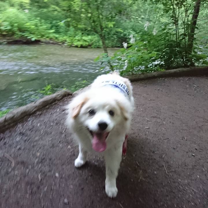 48121fa6 d49d 4669 b818 a89aa901adf1 1530567604957