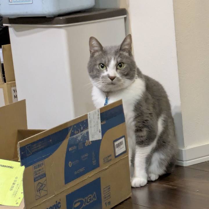 48122483 4513 40b7 a843 d1099b7d3df5 1764677271444