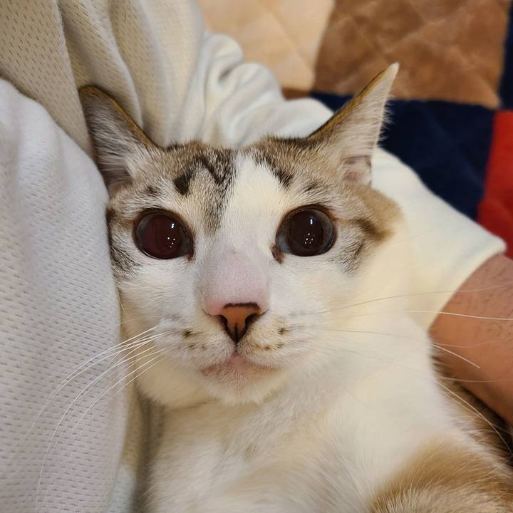 48123f68 0dc6 47c4 91d2 30fae628b7f7 1676720660088