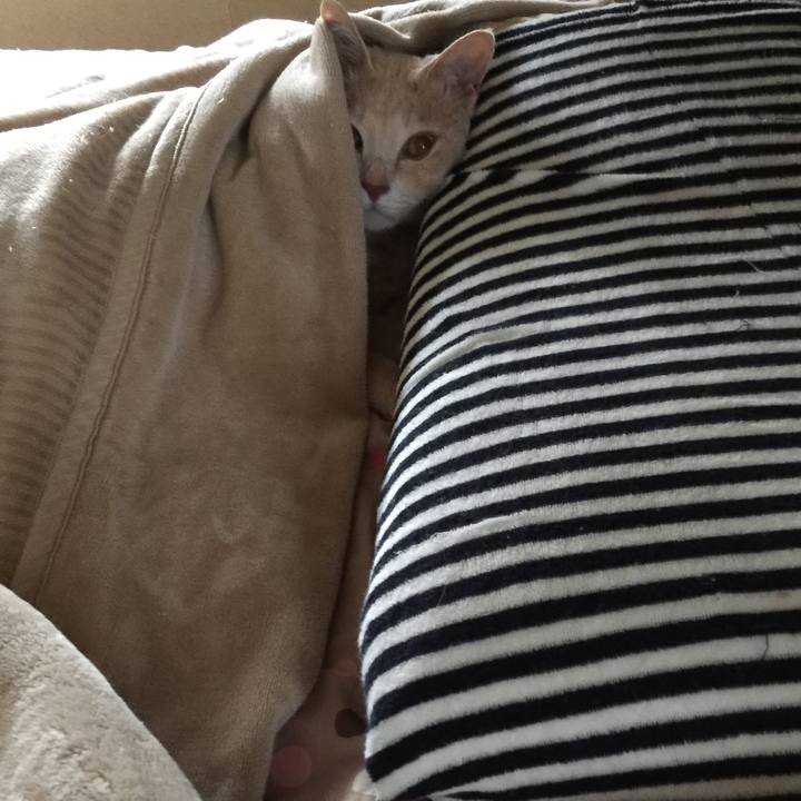 481243a0 e57b 4581 96de 6d2d79ec1e61 1601248566257