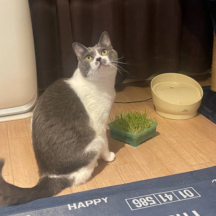 48126a65 08b7 4c25 bbd7 655f47a52eeb 1694428734020