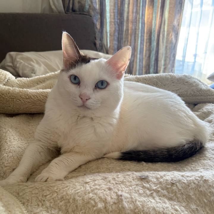 4812933c 1dd8 4780 8977 32d855076206 1773271150688