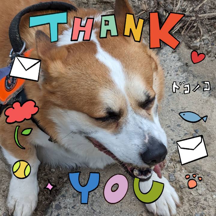 4812a552 90f7 4da7 b630 ae795fca7b6f 1715111463058