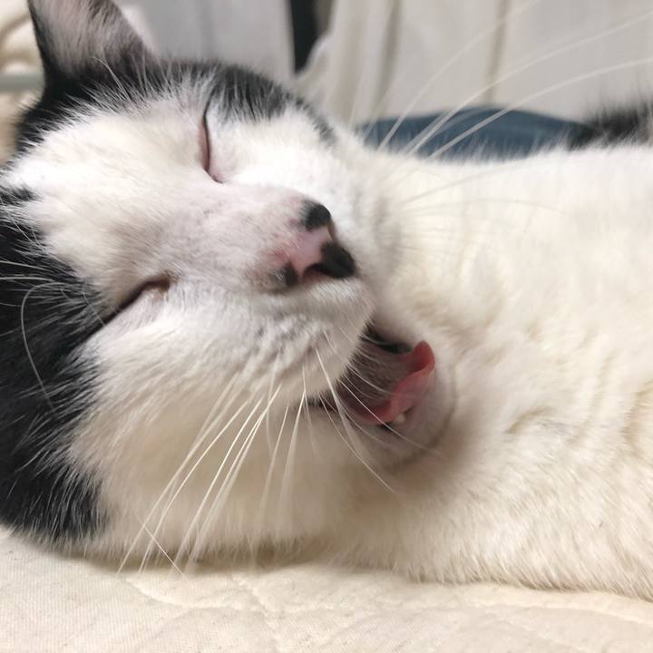 4812cc53 f518 4e37 983d 944fb5e1ad91 1558101340866