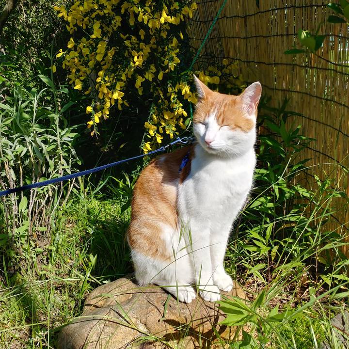 4812dee1 a3c6 4ec6 a074 f39e15d989b5 1526810273949