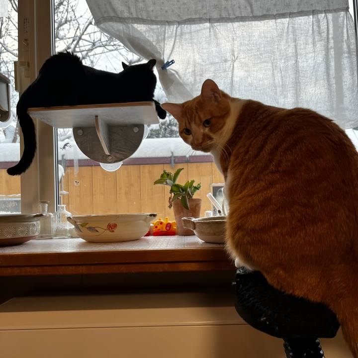 4812ece3 1009 4041 97d1 b48a040ac014 1703802540299