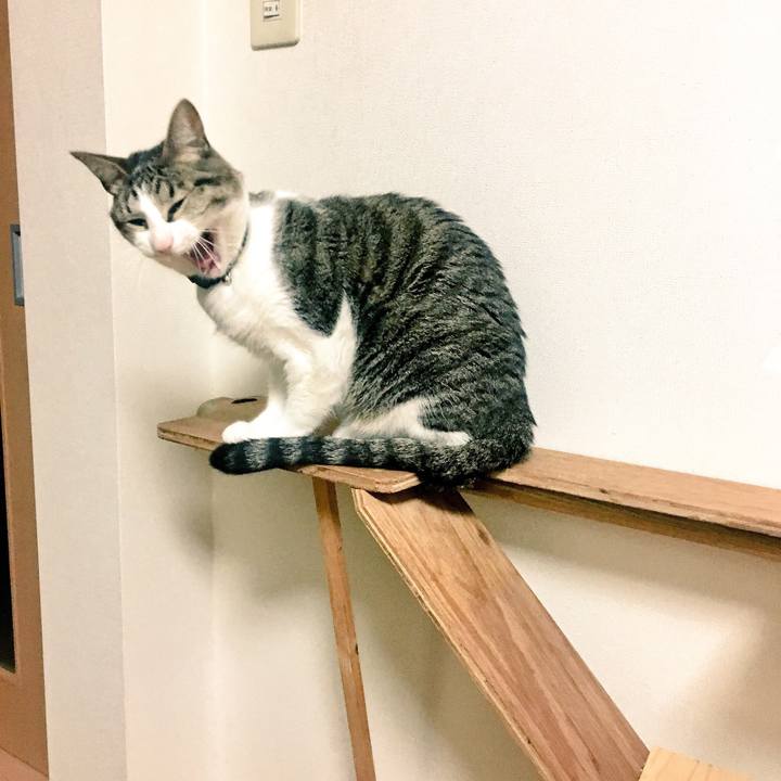 4813223a bff7 4e4a a83e f05dc9d253e6 1521591508129