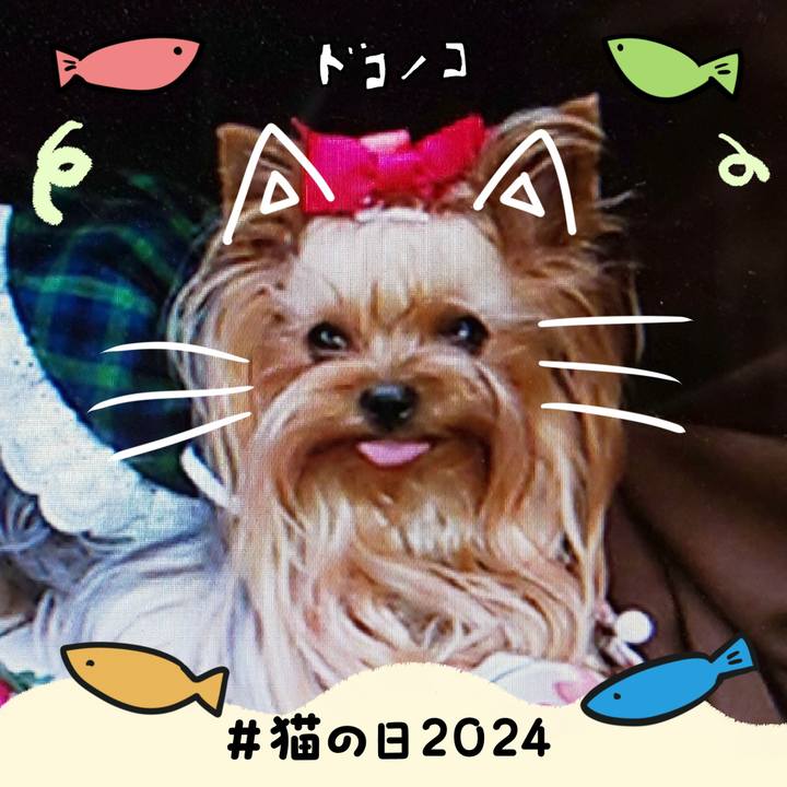 48133ff3 d365 43ec a291 d479c84548c6 1708566069350