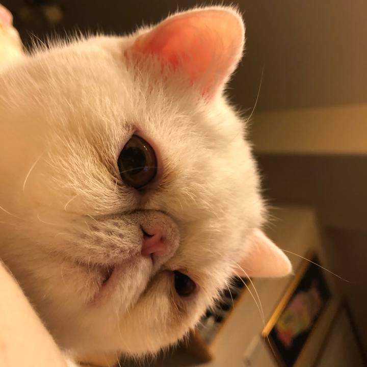 481344bd b81a 4b35 beb5 6ebc0c0f653b 1574418321906