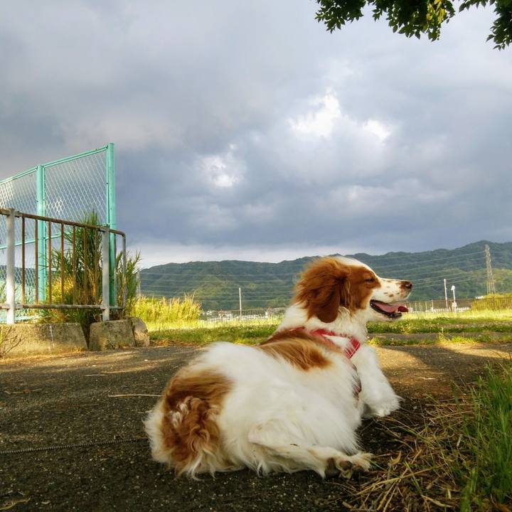 48139bf8 cc52 4adf 9734 3fbb5ed9bf62 1560425834713