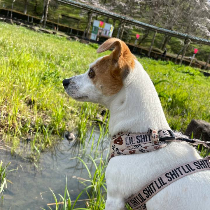 4814166e ab49 4bcc a362 89e9977dca42 1616409752857