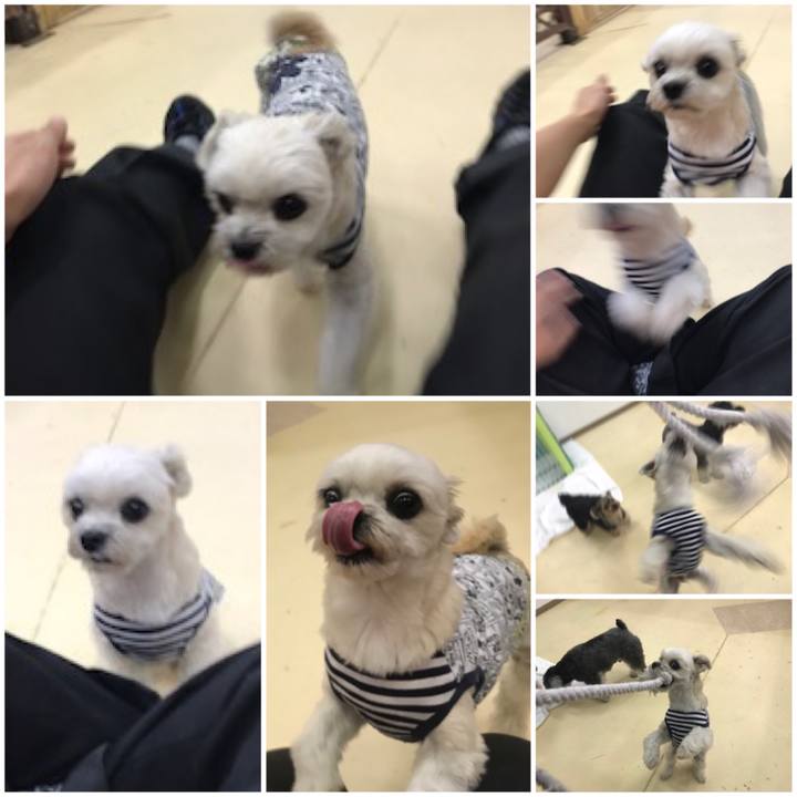 48142673 8003 4cfa aecc 23a25e7887a3 1574165063207