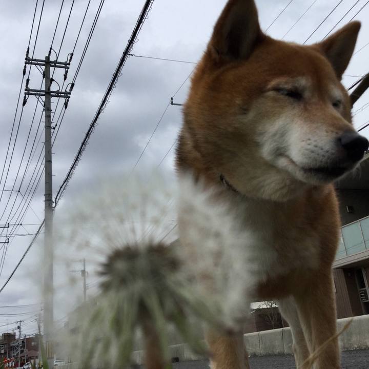 48143528 3aa7 4b79 bb67 e46af7902ad7 1586683586952