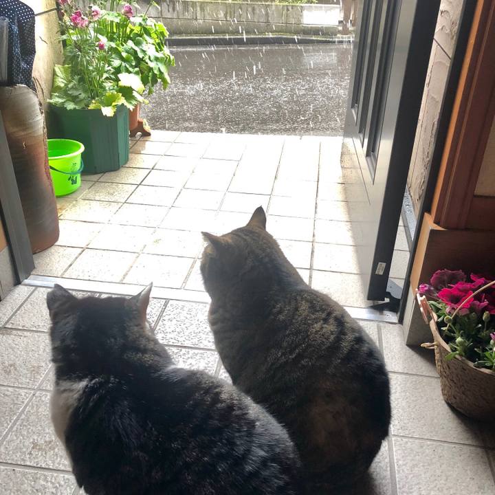 48144971 9e09 4f6d a4d5 d36f0e0cae61 1521601846333