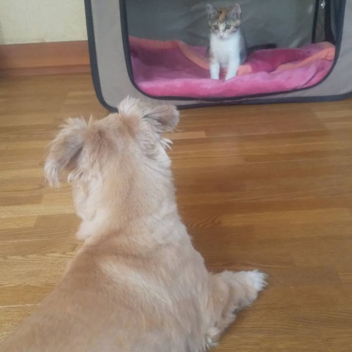 48145cb5 2e6c 4352 a02b 65b0c19095e3 1722034887919