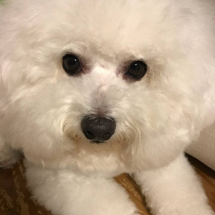 48146b03 8c1e 4ed1 95e5 3e2d45d0c036 1529497686199