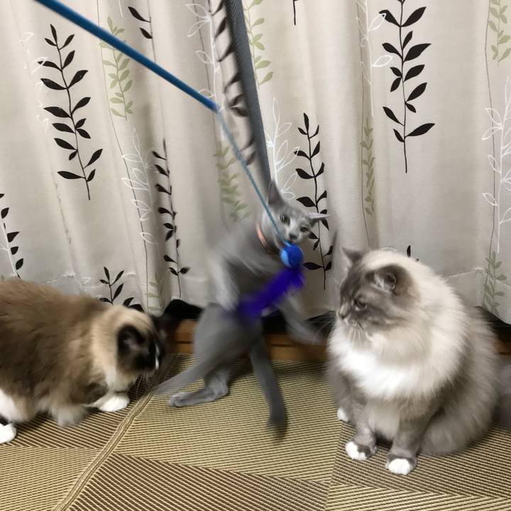 481476c1 d709 48fe 9582 49943f7ab6d8 1519308805892