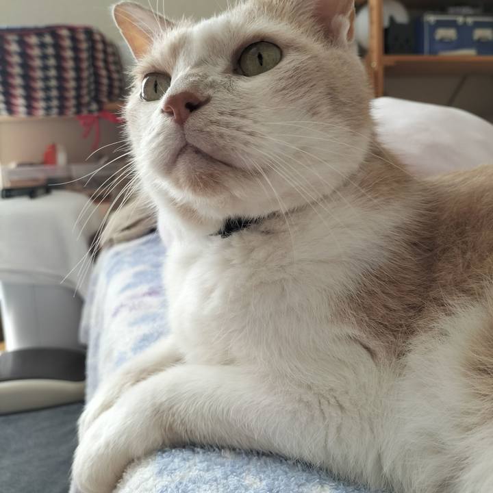 48147f1d ca60 43d3 a262 de51509a3690 1659827918524