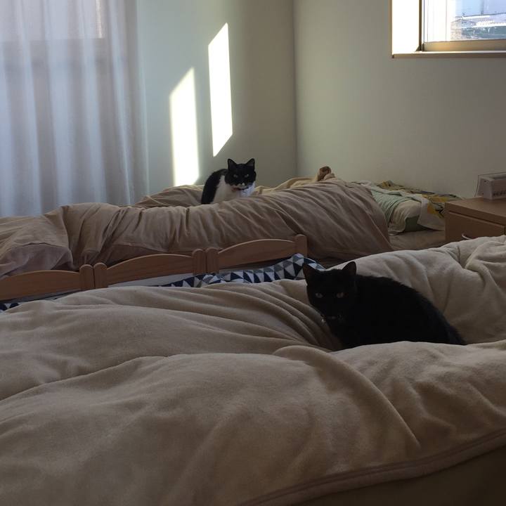 4814aed1 5661 480d b5a9 092edcfd41b9 1513823382658