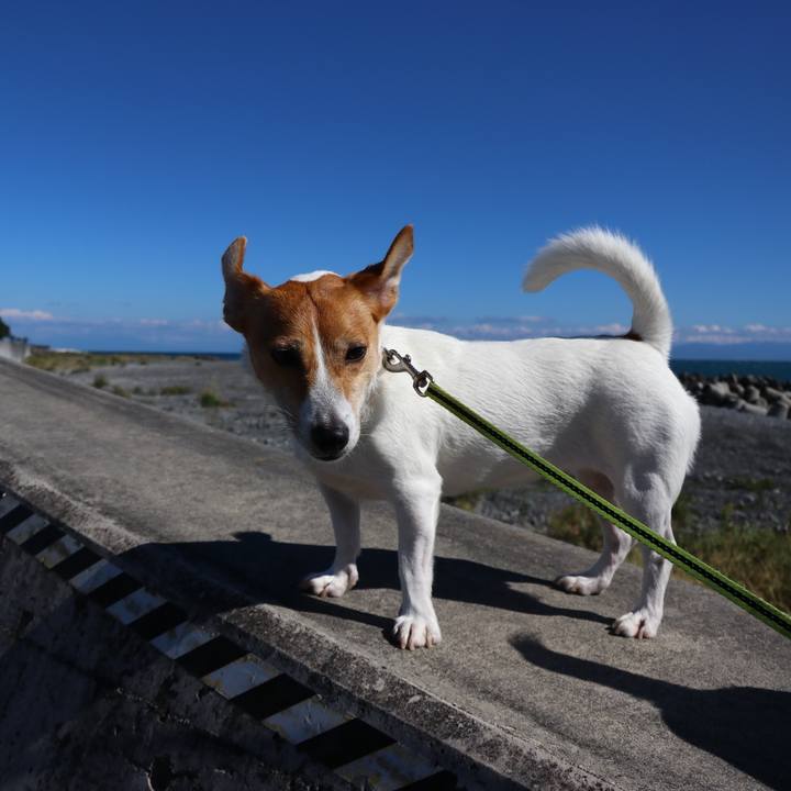 4814b825 7ebc 44ee b6bb fadc4ca34253 1603533223867