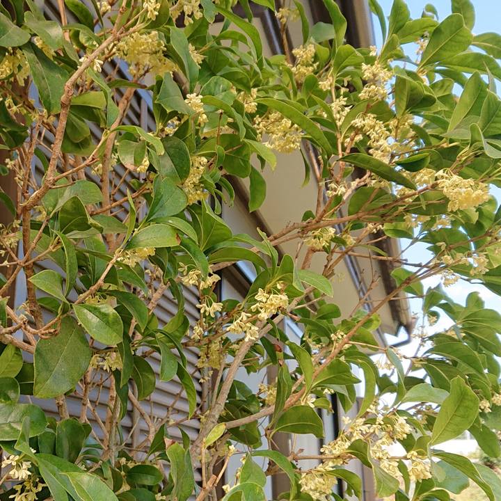 4814c380 b029 4043 bd37 15cfb9645996 1635774508956