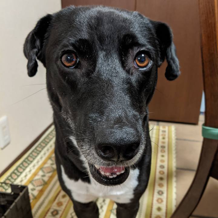 4814dd3b ba97 4465 b108 307fa874235f 1629990296985