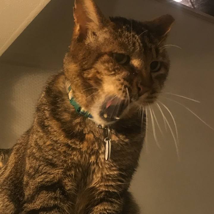 4814f41a 55fa 4af5 823b ca8526443457 1524925947077