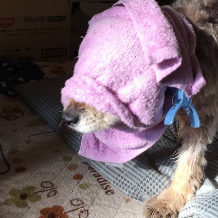 4814fbe0 e813 44e8 9740 394106cf35dd 1571798899556