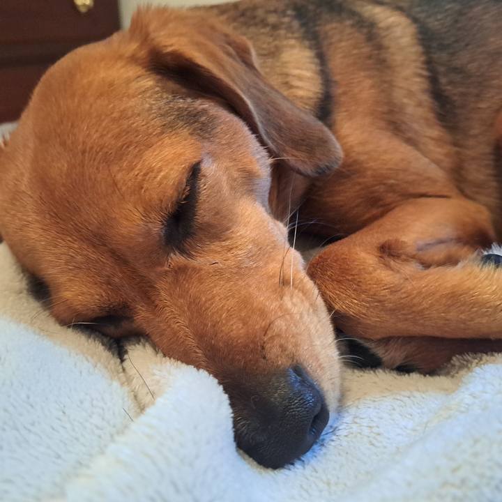 4815008f 4696 442f 94dd 6bb9cb21b9a2 1764513030323