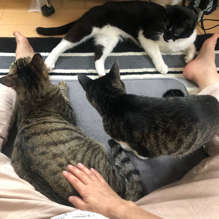 48153f2f b191 4d78 befc e6f0083df6f3 1593927646828