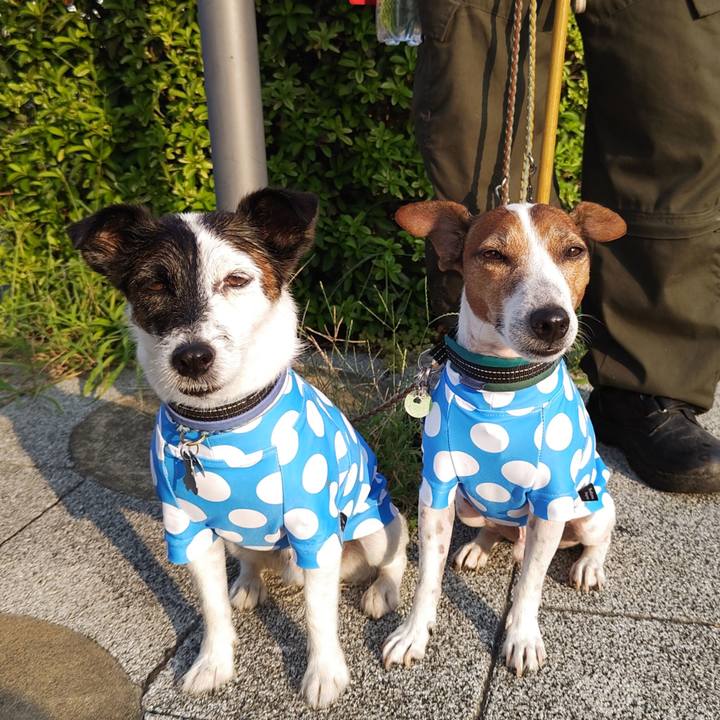 481581b5 d8f3 440b 8edc ee8aae4be28c 1725753183792