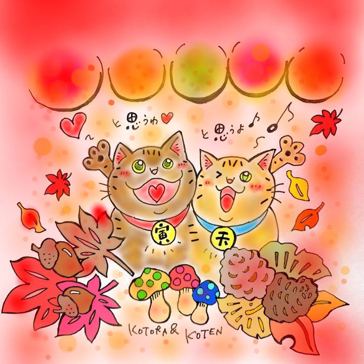 4815841d 9a69 481a 85f5 2ea4596dbd2b 1574607280086