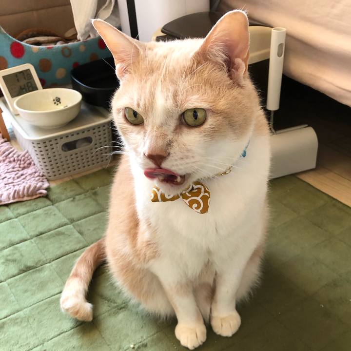 48158dc4 76b1 40c8 9bf8 13d4fe432397 1582759160381