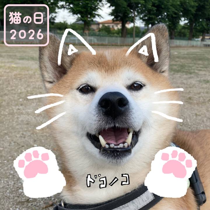 4815a981 8624 47fa 946e 075a2eedd0b5 1771765552877