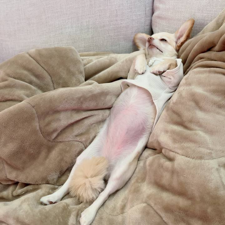 4815c125 f0ca 4bb0 b46f c97609088b49 1722498495721