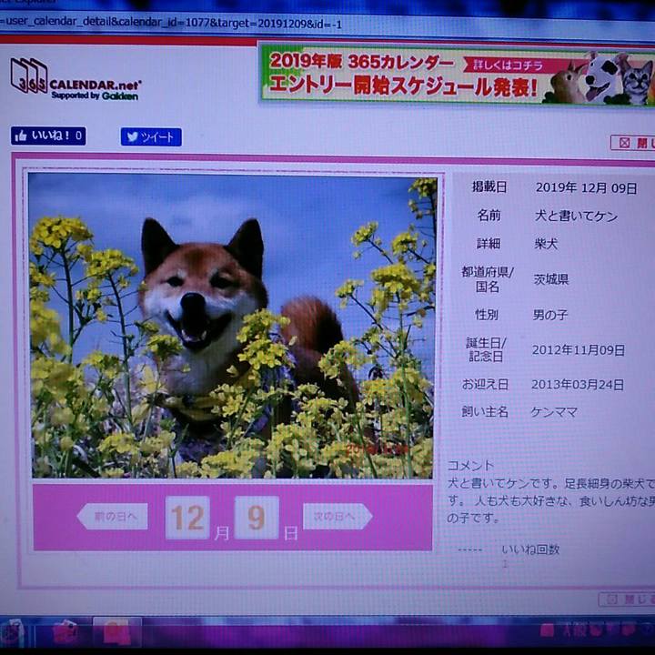 4815d66e c338 47e9 8336 c5136924120d 1529154801935