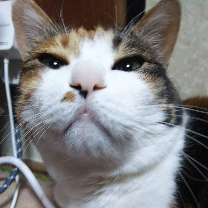 481609f7 3dfe 432d b5f6 74d10524b559 1551584945344