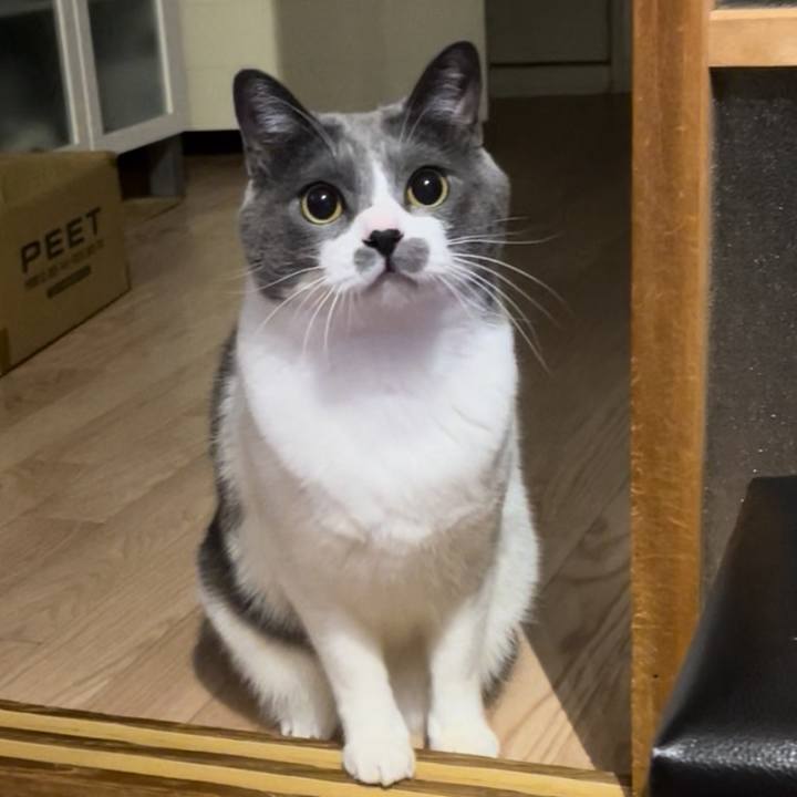 481619e7 c1f8 40a6 8f1d 1f3764804c16 1703679485170