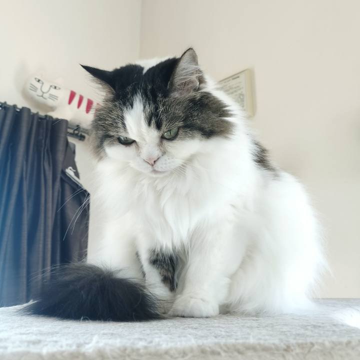 48162bb2 aa9c 42a1 9752 a996699ada6a 1774567642891