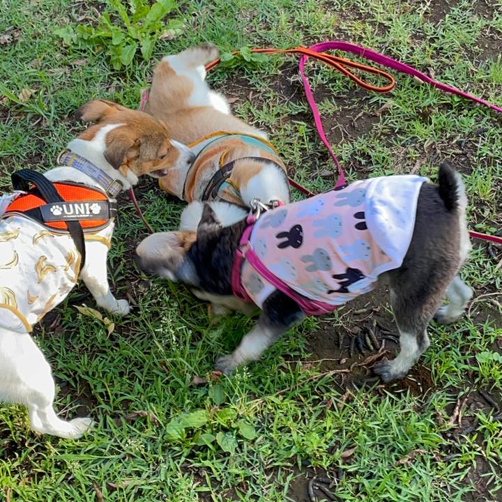 481663e5 5618 4057 b035 0a3e3a5aa39b 1687008879342