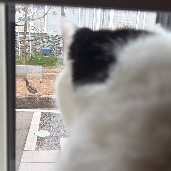 4816c22b f8b8 4b4a 8cfe 1c2151e11da5 1777412761194